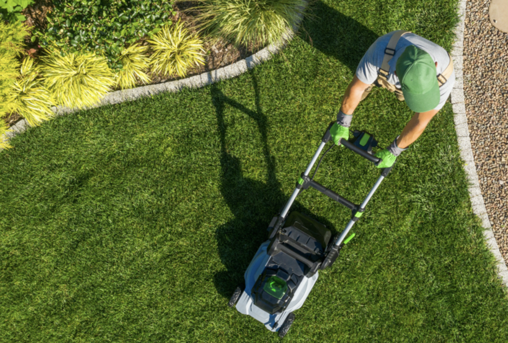 Starting A Landscaping Business: A Complete Guide - FCT