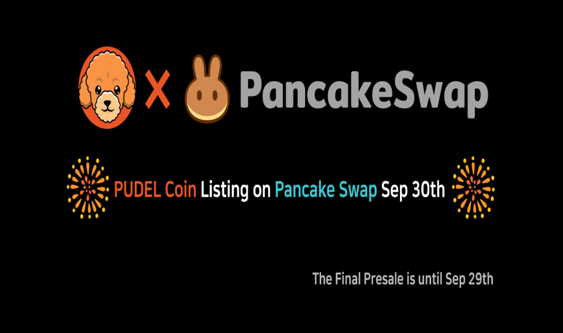 PUDEL Coin – A Rare Gem in Meme Coins Poised to Rise with 9,000 Holders and Imminent DEX Listing!
