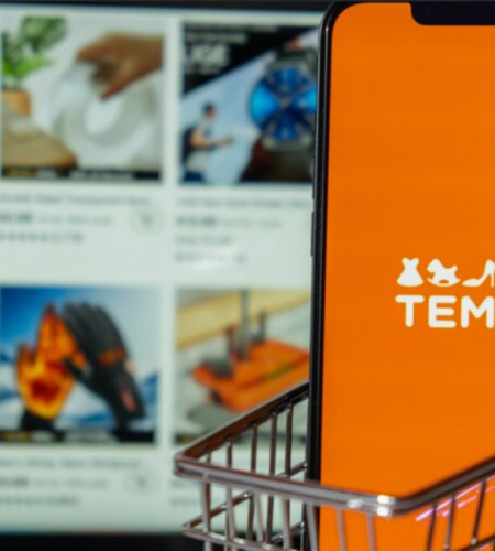 Temu Reigns Supreme The Best Shopping Platform of 2024