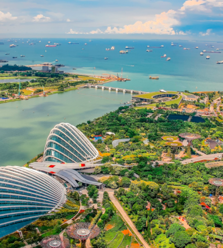 Singapore's Best Parks and Gardens to Experience Nature's Beauty