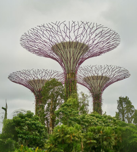 Nature Trails and Scenic Views Singapore's Best Parks for Hikers