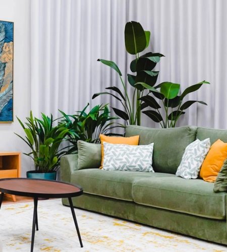 Your Ultimate Guide to Finding the Perfect Sofa