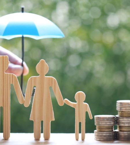 Comprehensive Guide to Choosing the Best ₹5 Crore Term Insurance Plan