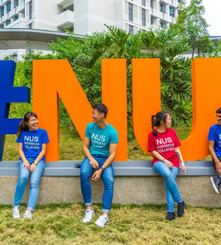 NUS A Premier Global University Just a Stone's Throw Away from Skye at Holland Capitaland- The Perfect Higher Education Destination with a Diverse Array of Programs