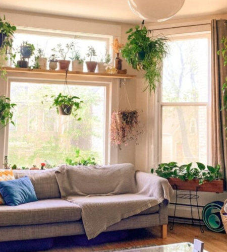 5 Clever Space Solutions for Your Indoor Condo Garden