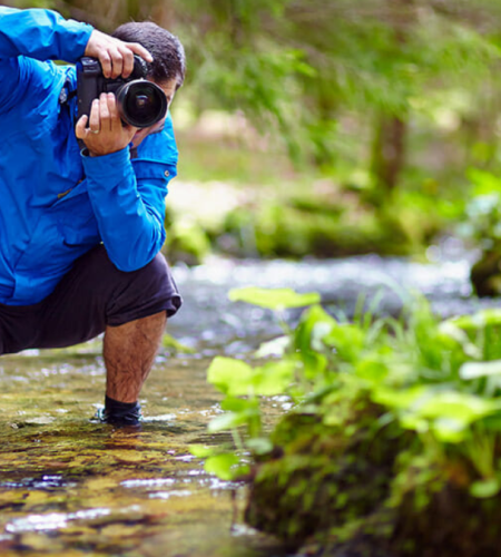 Beginner Tips for Taking Great Snapshots of Nature